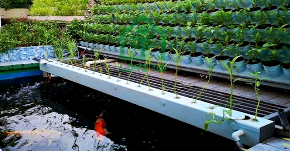 水肥一體化 水肥一體化