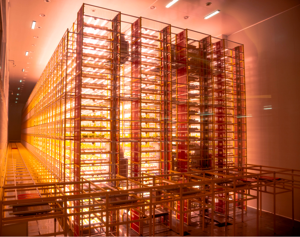 水肥一體化 水肥一體化